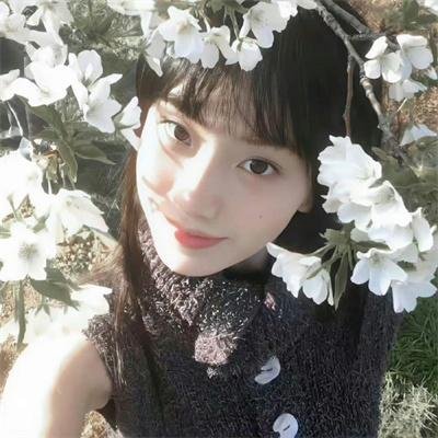 地下室的7人